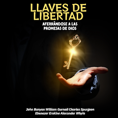 Llaves de libertad